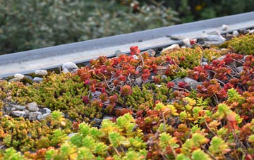 the cost of Askerswell green roof installation