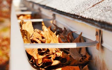 Askerswell gutter cleaning companies
