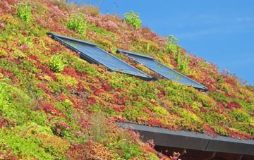 Askerswell living roof systems