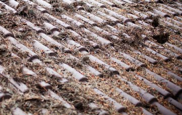 Askerswell roof cleaning companies