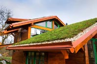 gallery living roof